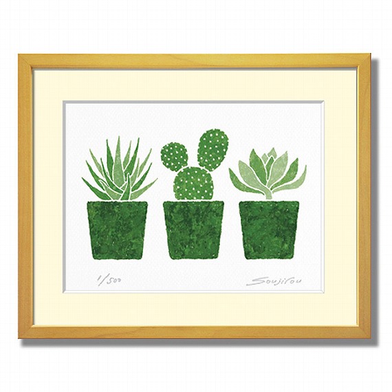 楽天市場】「バンザイサボテンと多肉植物」藤谷壮仁郎(Soujirou