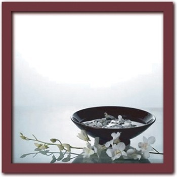 Still Life with Orchids/Anonyme【Art Collection】（フォトグラフ　インテリアアートフレーム）［絵画通販］【絵のある暮らし】【壁掛けフックつき】
