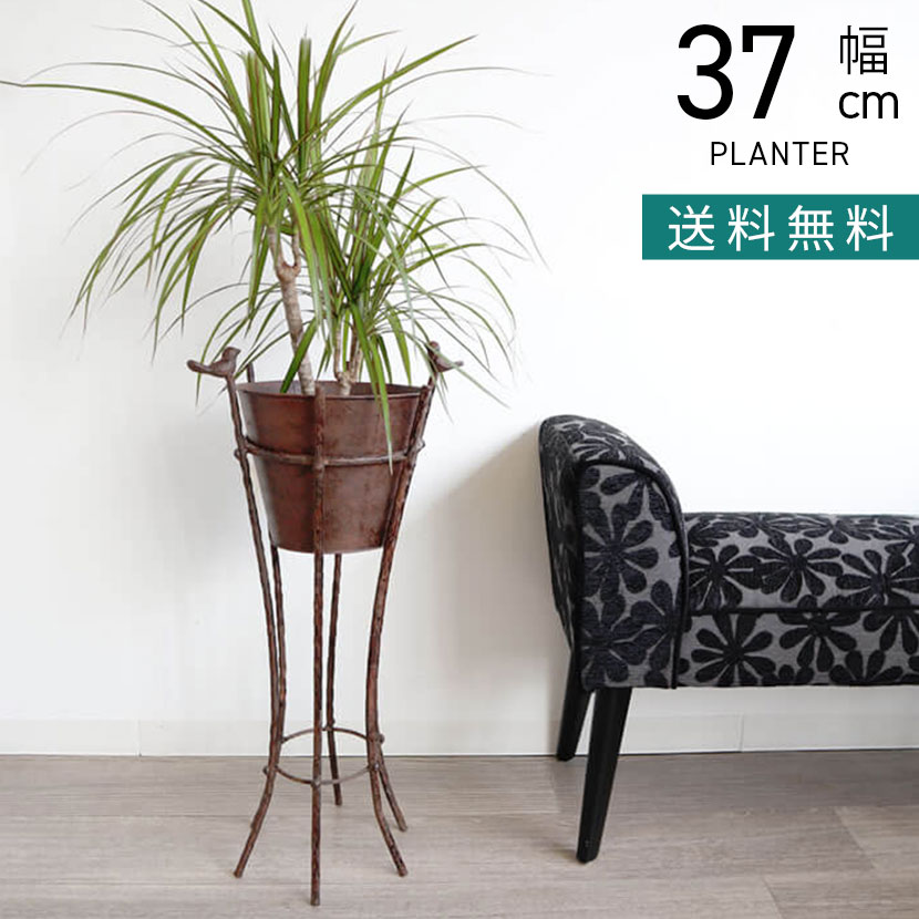 スタンドプランター/鉢カバー レトロ調アイアン 小鳥 楽天市場】幅37cm アイアン スタンドプランター 鳥 インテリア