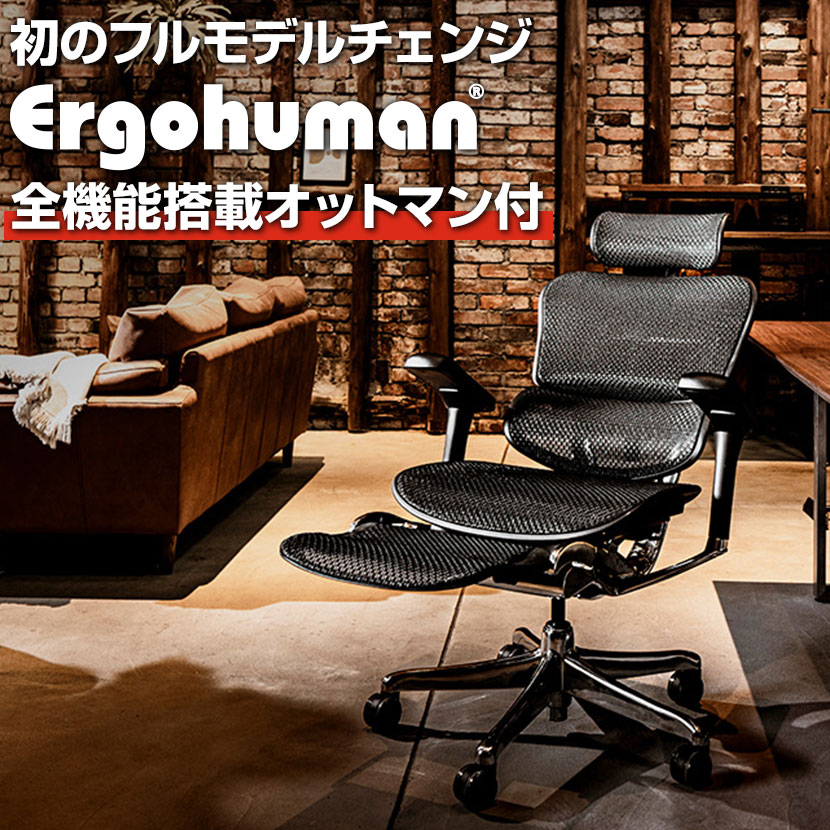 オフィスチェア エルゴヒューマン プロ2 Ergohuman PRO2 新基盤 オットマン内蔵 高機能 ヘッドレスト付き 独立ランバーサポート EHP2-LPL-DR 在宅ワーク 椅子 メッシュチェア デスクチェア ワークチェア|暮らしのデザイン 店