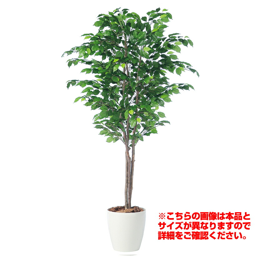 [最大9000円OFF! 26日1:59迄]観葉植物 人工 樹木 フィッカスベンジャミナトリプル 高さ1500mm Mサイズ 鉢:RP-265 完成品｜暮らしのデザイン 店