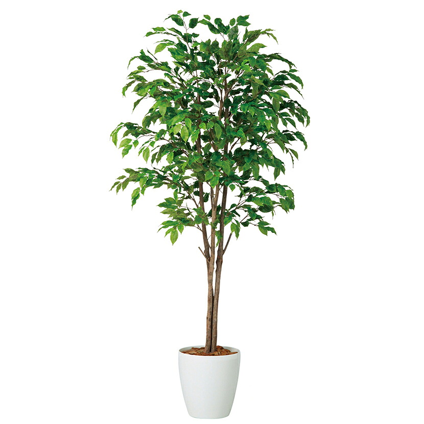 [最大9000円OFF! 26日1:59迄]観葉植物 人工 樹木 ベンジャミナスプラッシュトリプル 高さ1800mm Lサイズ 鉢:RP-300 完成品｜暮らしのデザイン 店 50,700円