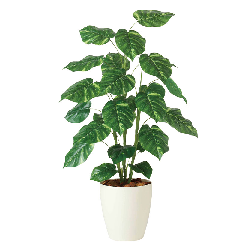 [最大9000円OFF! 26日1:59迄]幅70cm 人工 観葉植物 ポトス 樹木 丸鉢 樹木 フェイクグリーン インテリア 完成品｜暮らしのデザイン 店