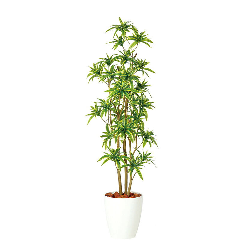 [最大9000円OFF! 19日20時～]観葉植物 人工 樹木 ソング・オブ・インディア FST 高さ1500mm Mサイズ 鉢:RP-265 完成品｜暮らしのデザイン 店