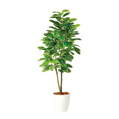 [最大9000円OFF! 26日1:59迄]観葉植物 人工 樹木 アルテシマ 高さ1800mm Lサイズ 鉢:RP-300 完成品｜暮らしのデザイン 店