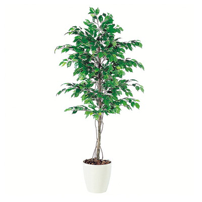 [最大9000円OFF! 26日1:59迄]観葉植物 人工 樹木 フィッカスベンジャミナ 高さ1800mm Lサイズ 鉢:RP-300 完成品｜暮らしのデザイン 店