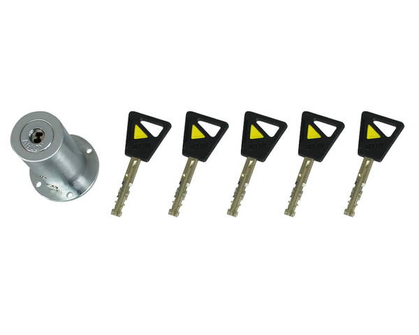 ABLOY CY513D  取り替えっこ用円柱RA用S 5本足懸かり