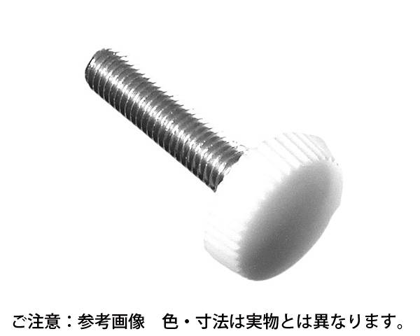 ｼﾛ ﾕﾘﾔﾈｼﾞ(No2) 5×17 入数：500個入【ご機嫌理論の道筋】 花・ガーデン・DIY-その他