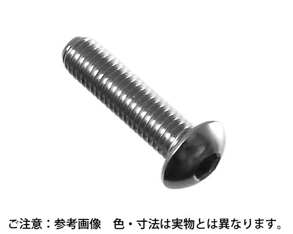 ｽﾃﾝﾚｽ 六角穴付ﾎﾞﾀﾝﾎﾞﾙﾄ 5×16 入数：500個入【御機嫌理論の道筋】