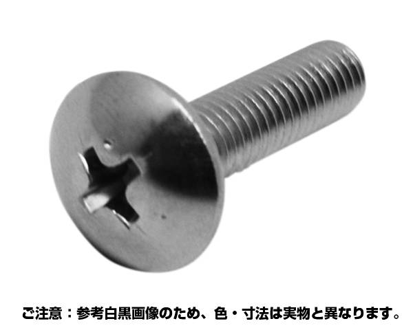 (プラス)トラス小ネジ ステンレス 5x20 入数500【コノエ】|暮らしの百貨店