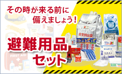 楽天市場】【2023年製】日本ドライ NC-5(II) 二酸化炭素 消火器