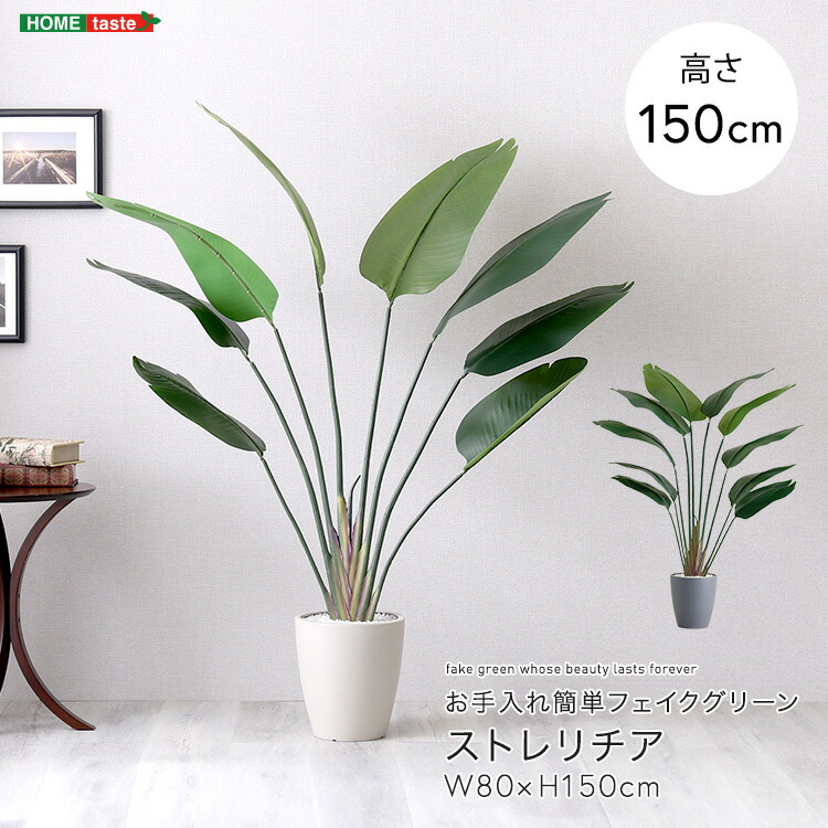 お手入れ簡単フェイクグリーン ストレリチア Mサイズ(150cm)|くらしの間