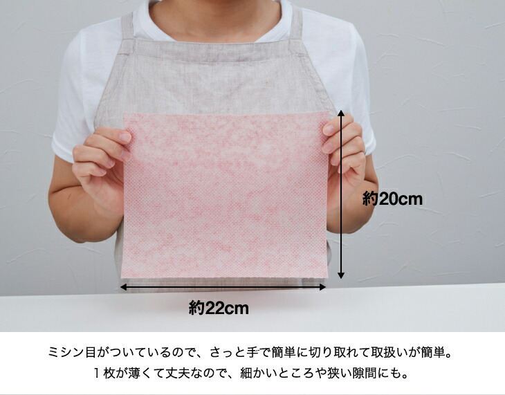 シートたわし6Pセット