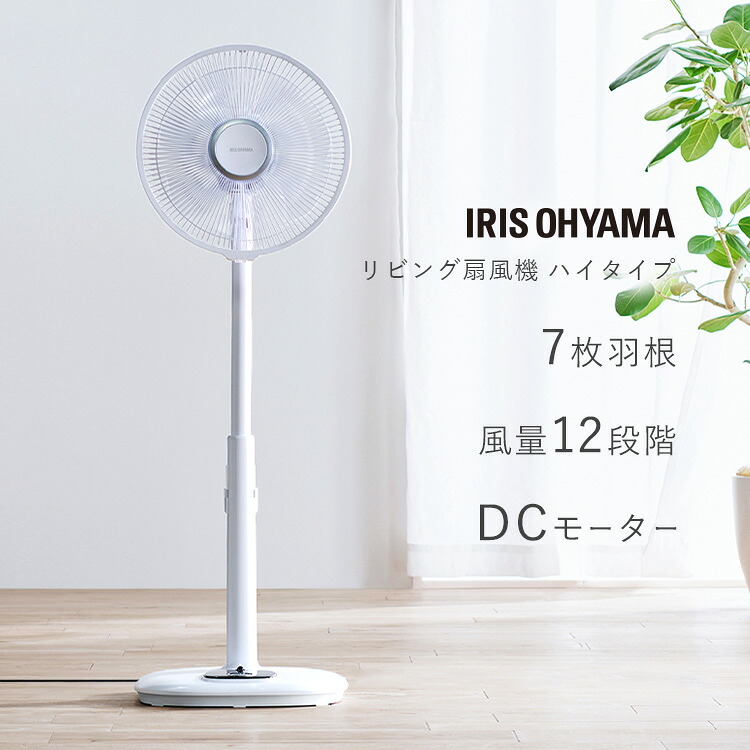 6月SALE 品目