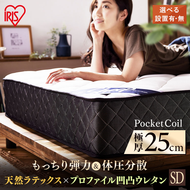 6月SALE 品目
