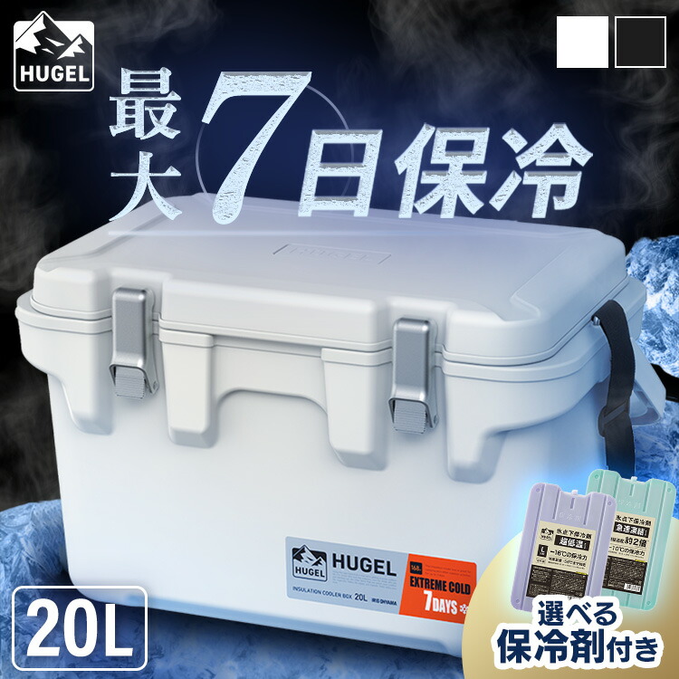 6月SALE 品目