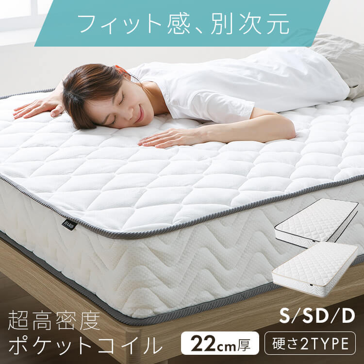 6月SALE 科目