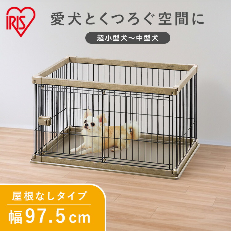 6月SALE 品目
