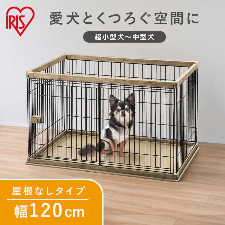 6月SALE 品目