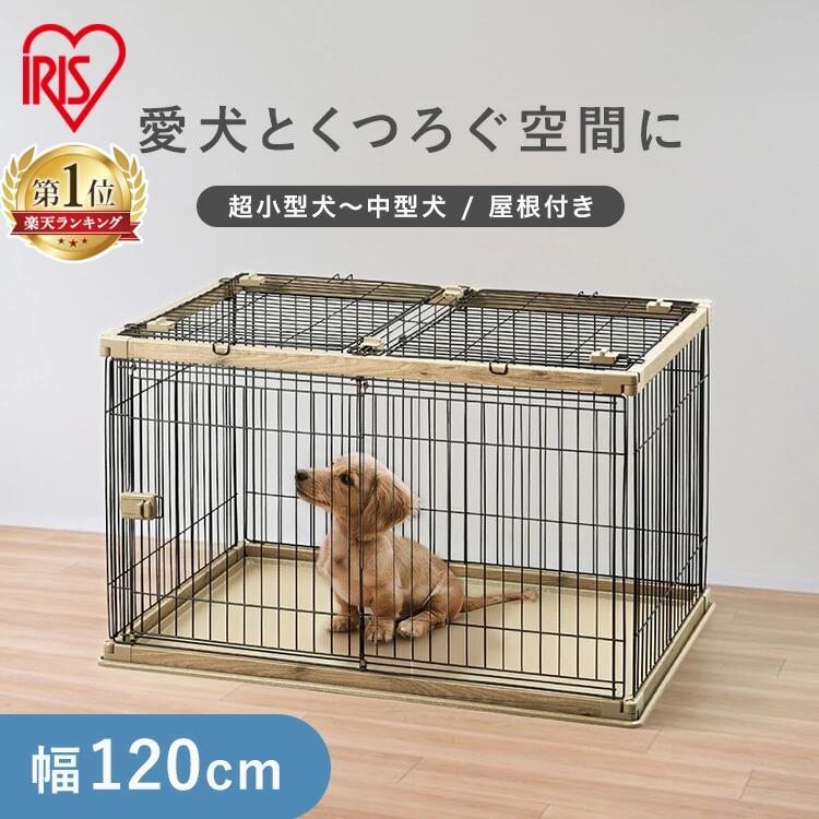 6月SALE 品目