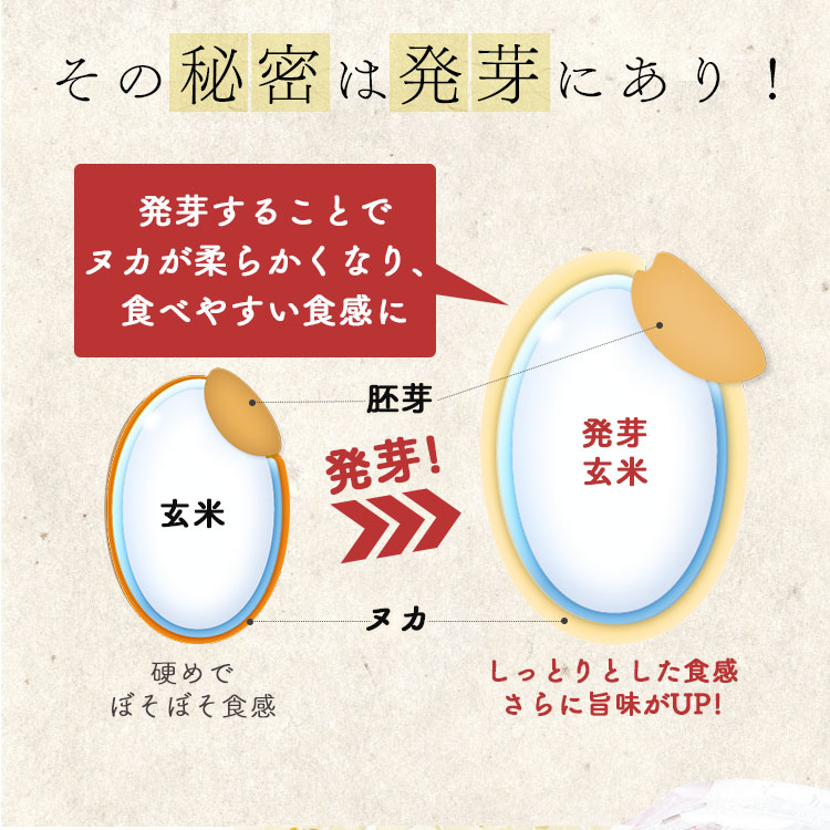 新しく着き ご飯 パック 発芽玄米ごはん150ｇ×24パック 低温製法米のおいしいごはん 玄米 発芽玄米 パックごはん パック米 米 ごはん 低温製法  低温製法米 保存 アイリスフーズ www.ambienteymedio.tv