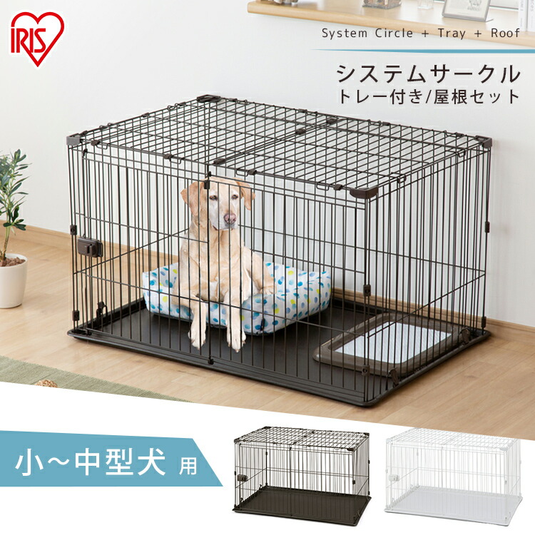 貞 石膏 ポンペイ 犬 室内 ケージ Leddisplay4u Jp