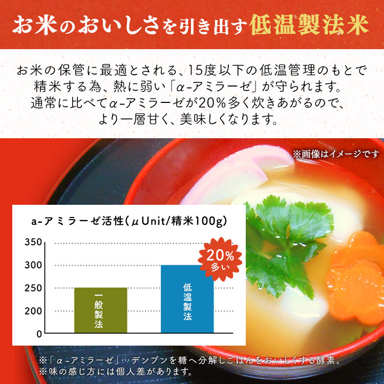 国内即発送】 低温製法米の生まるもち 大判個包装600ｇ 餅 もち お餅 丸餅 まるもち 大判 国産 個包装 アイリスフーズ  www.servitronic.eu