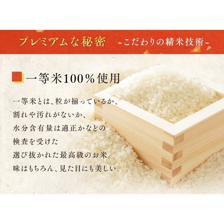 令和6年産 米 白米 10kg 送料無料 秋田県産 あきたこまち 10kg