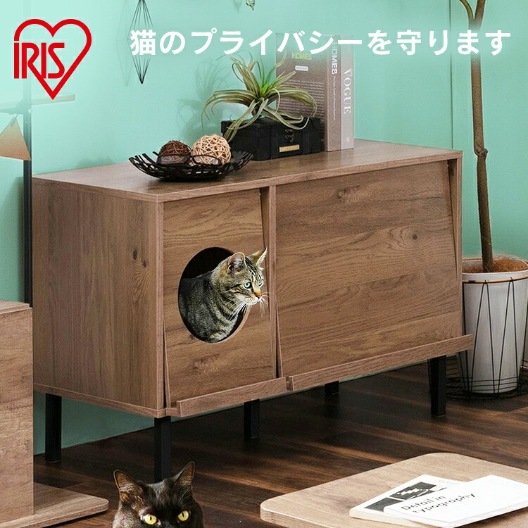 6月SALE 品目