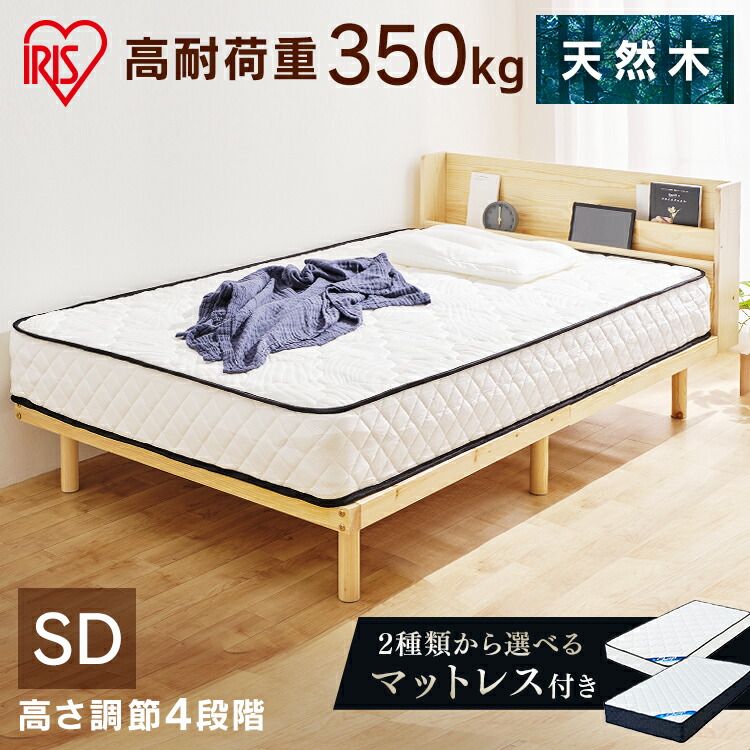 6月SALE 品目