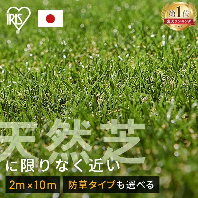 新商いもの 芝生-ガーデニング・農業