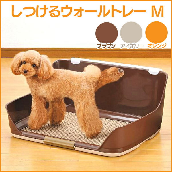 ボンビ しつけるウォールトレー M ブラウン アイボリー オレンジ 犬 犬用トイレ トイレ 壁付 ウォールトレー 飛び散り防止 メッシュ付 P 割引 ボンビ しつけるウォールトレー M ブラウン アイボリー オレンジ 犬 犬用トイレ トイレ 壁付 ウォールトレー 飛び散り防止 メッシュ付 P 割引