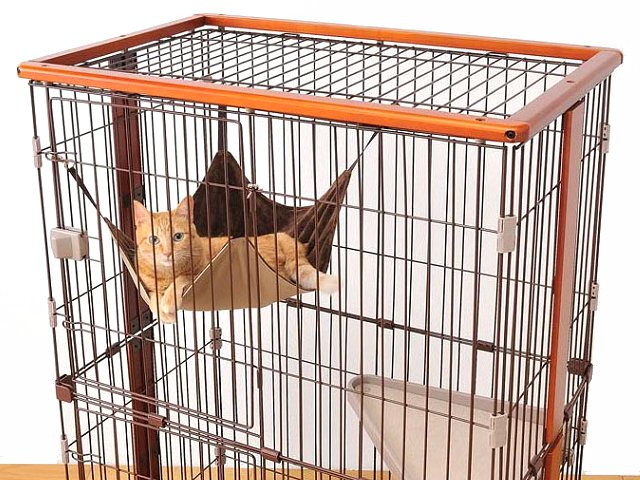 ボンビ ウッドワンサークルキャット3段タイプ 送料無料 ケージ ゲージ 猫 ネコ 猫ケージ 猫ゲージ キャットケージ ゲージ 大型 通販 おしゃれ おすすめ ケージ飼い 室内飼い D Movilesgarcia Com