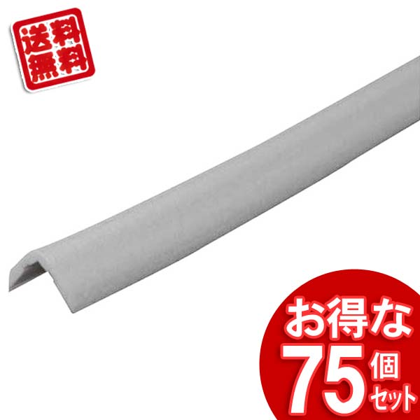 6月SALE 品目