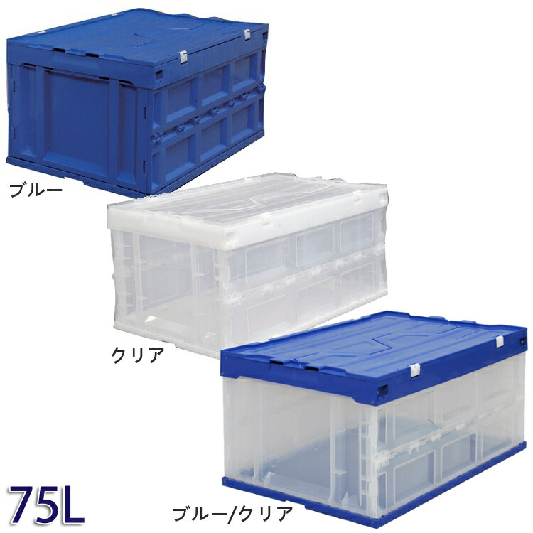 6月SALE 品目