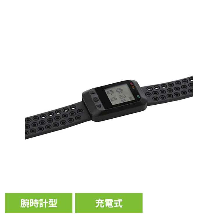 6月SALE 個条