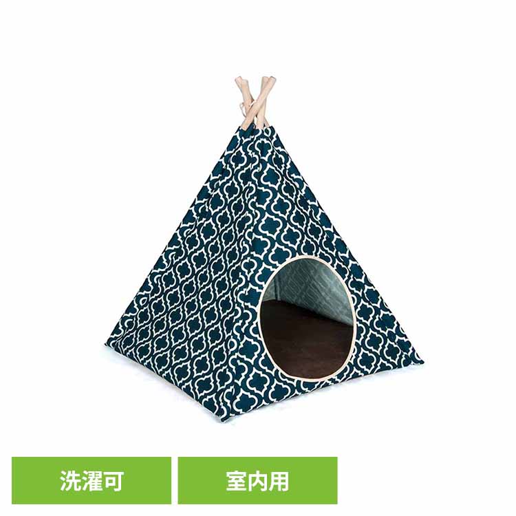 6月SALE 個条