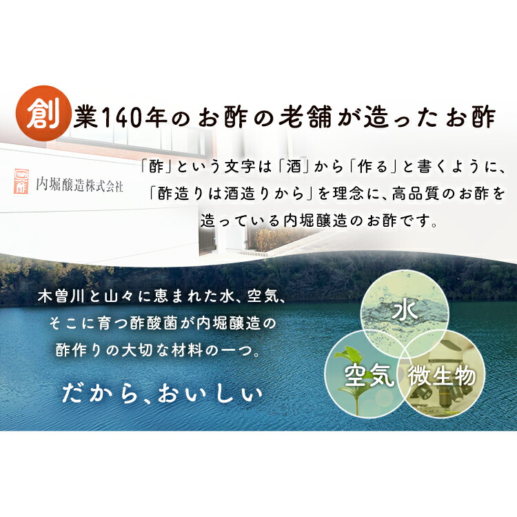 【2本セット】フルーツビネガー360mlFV-155A内堀フルーツビネガー飲用酢りんご酢ぶどうとブルーベリー水割り炭酸割飲む酢【D】