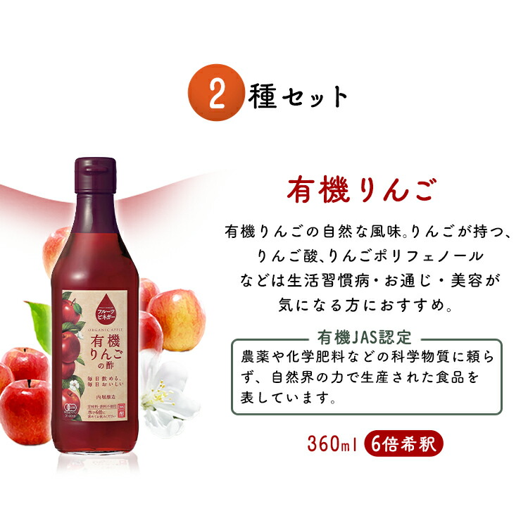 【2本セット】フルーツビネガー360mlFV-155A内堀フルーツビネガー飲用酢りんご酢ぶどうとブルーベリー水割り炭酸割飲む酢【D】