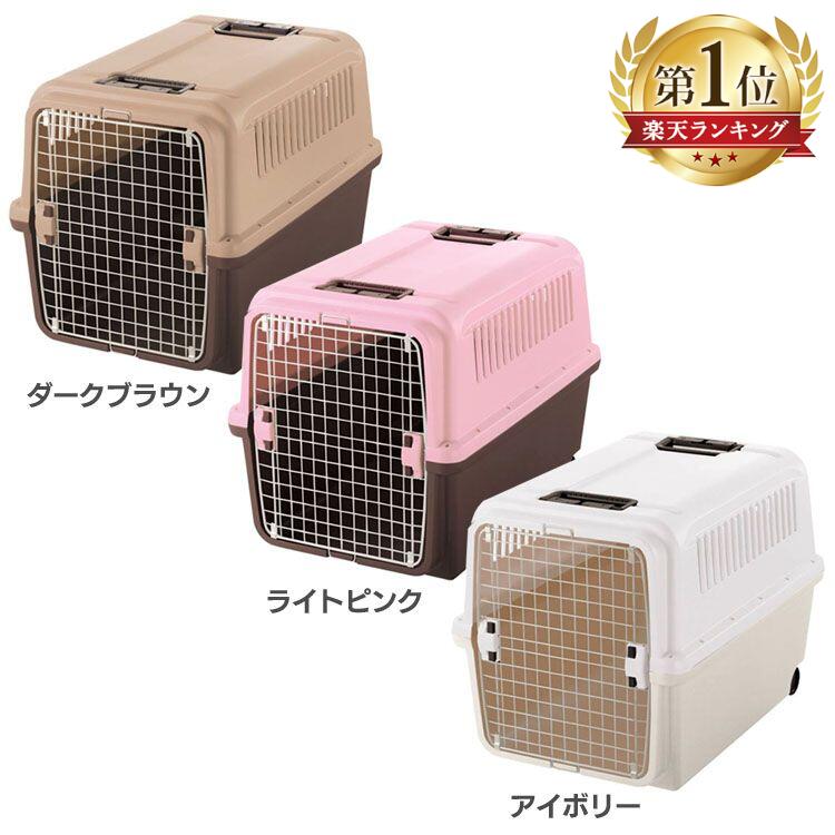 6月SALE 品目