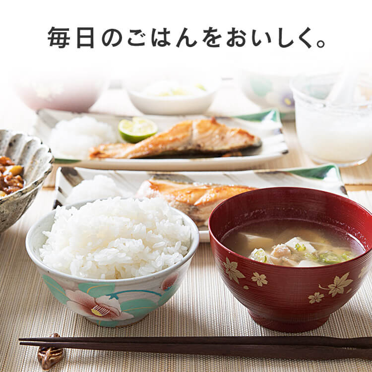 令和6年産 米 白米 10kg 送料無料 無洗米 宮城県産 ササニシキ