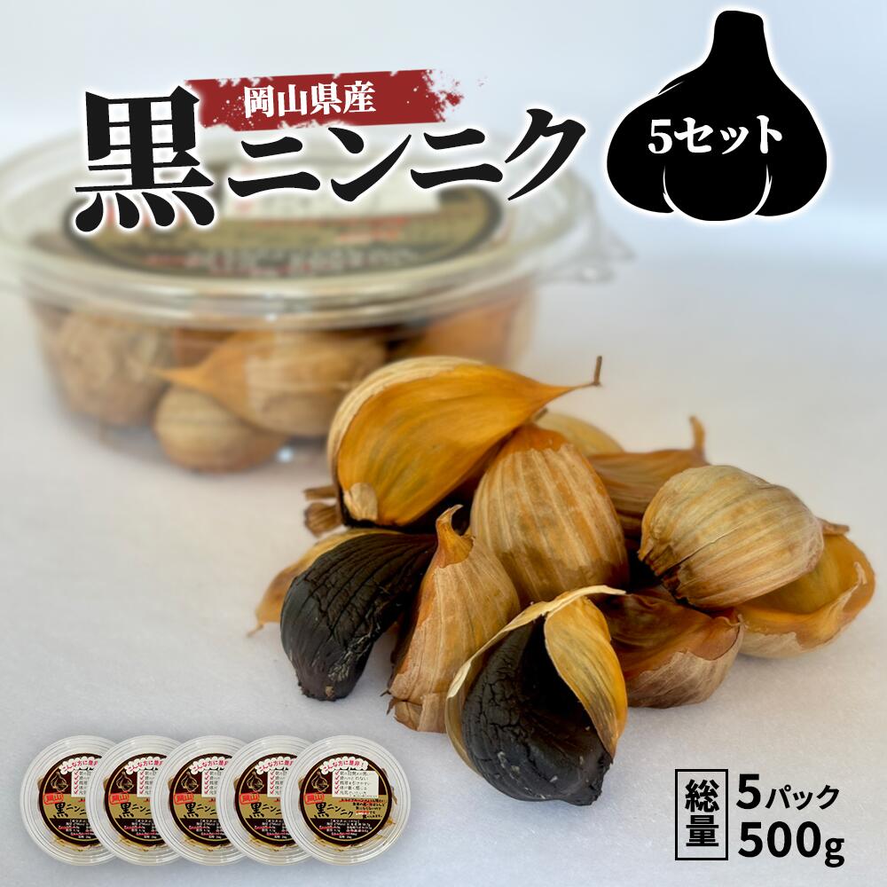 【楽天市場】ホワイト 六片 黒にんにく 500g ( 100g × 5パック ） 無農薬 黒にんにく 国産 黒ニンニク 黒にんにく お試し ...