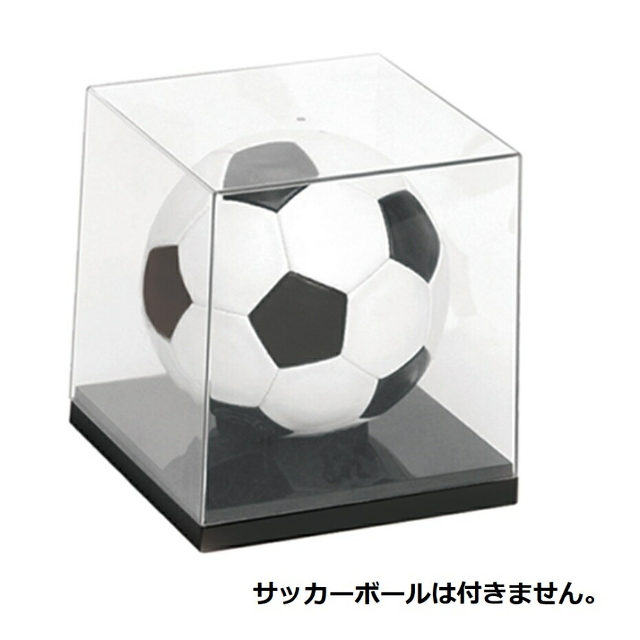 楽天市場】サインボールケース/サッカーボールケース