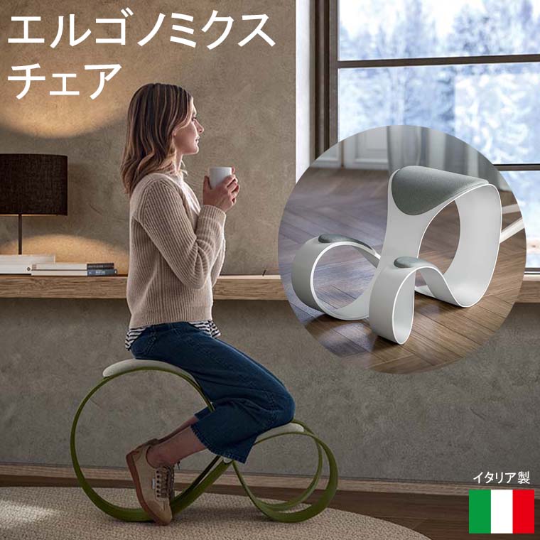 【2026.3入荷予定】エルゴノミクスチェア Moon ムーン デザイナーズチェア イタリア製 輸入家具 おしゃれ インテリアチェア レッドドット賞受賞 クアドリフォリオQuadrifoglio