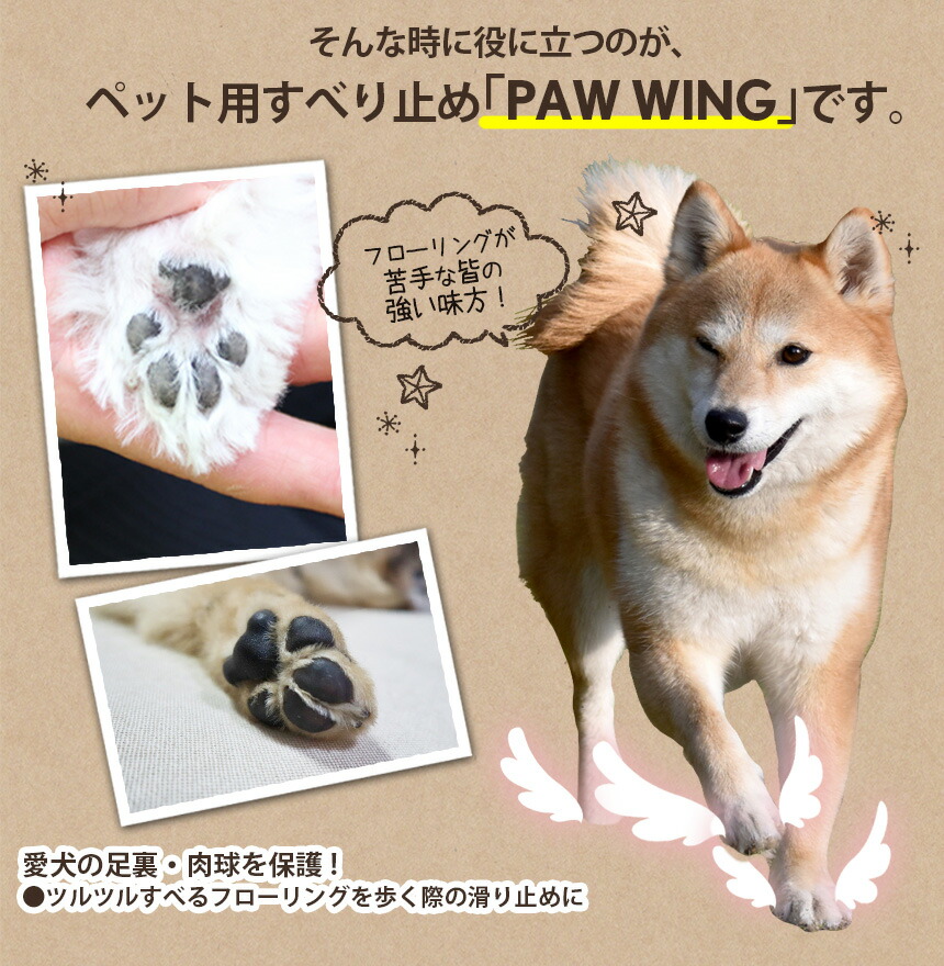 送料無料 ペット用靴下 シール Paw Wing Pawwing 同色同サイズ3個組 パウウイング パウウィング 滑り止め 犬用パッド 犬用くつ ペット フローリング 対策 肉球保護 転倒防止 犬 靴 犬 用 靴下 犬 滑り 止め 老犬 後ろ足 シニア犬 メール便 Napierprison Com