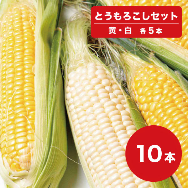 【予約販売※8月下旬～9月中旬頃発送】<br>黄色 ･ 白色セット 10本 とうもろこし おおもの 雪の妖精 <br>北海道 産直 産地直送 とうもろこし トウモロコシ <br>スイートコーン コーン とうきび 野菜 新鮮野菜 <br>北の大地 北海道産 同梱不可