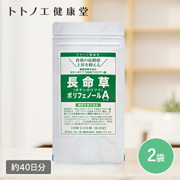 長命草 ポリフェノールＡ 2袋 240粒 40日分 トトノエ健康堂 日本製 サプリメント 1日6粒 血糖値 上昇抑制効果 ボタンボウフウ クロロゲン酸 乳酸菌 錠剤 注目成分 機能性表示食品 食前 糖質 食生活 GMP適合認定工場 品質 安心 安全 同梱不可
