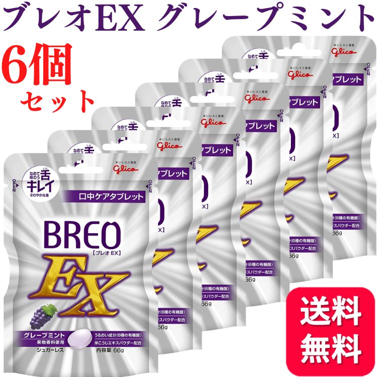 贈物 グリコ BREOEX ブレオ EX 1パック 66g グレープミント1パック