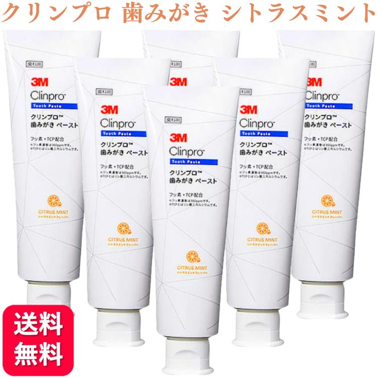 3M クリンプロ 歯みがき ペースト 6本セット 楽天市場】＼店内全品ポイント10倍／※要エントリー3M クリンプロ
