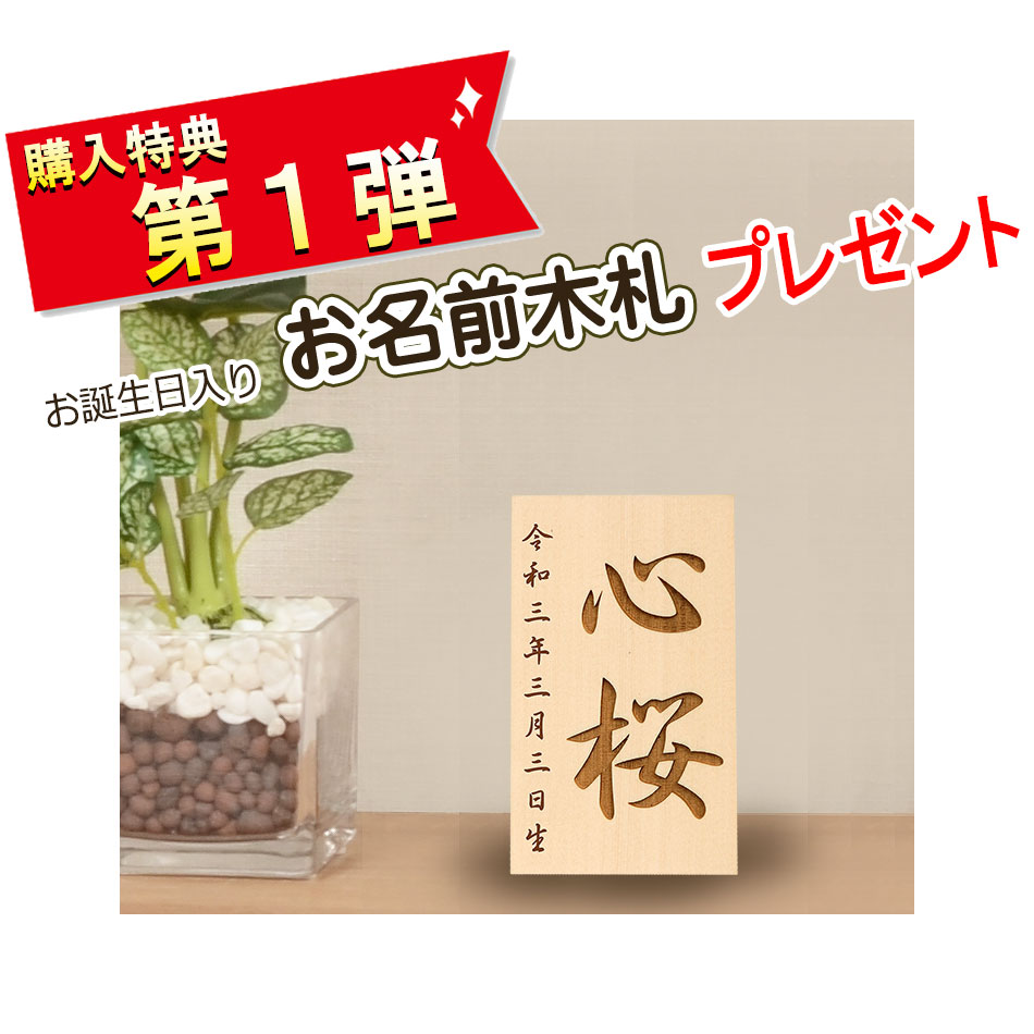 店内全品対象 雛人形 収納飾り コンパクト 小三五サイズ 親王飾り 花梨